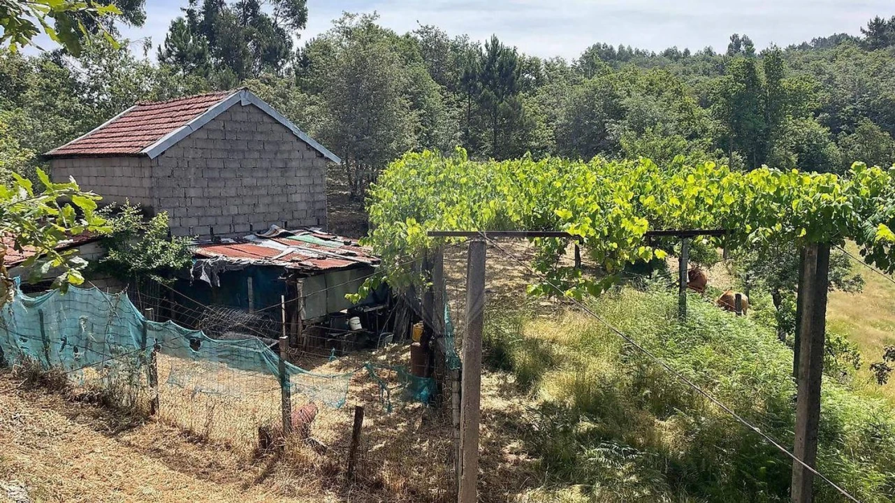 Moradia para Venda em Fafe Foto 18