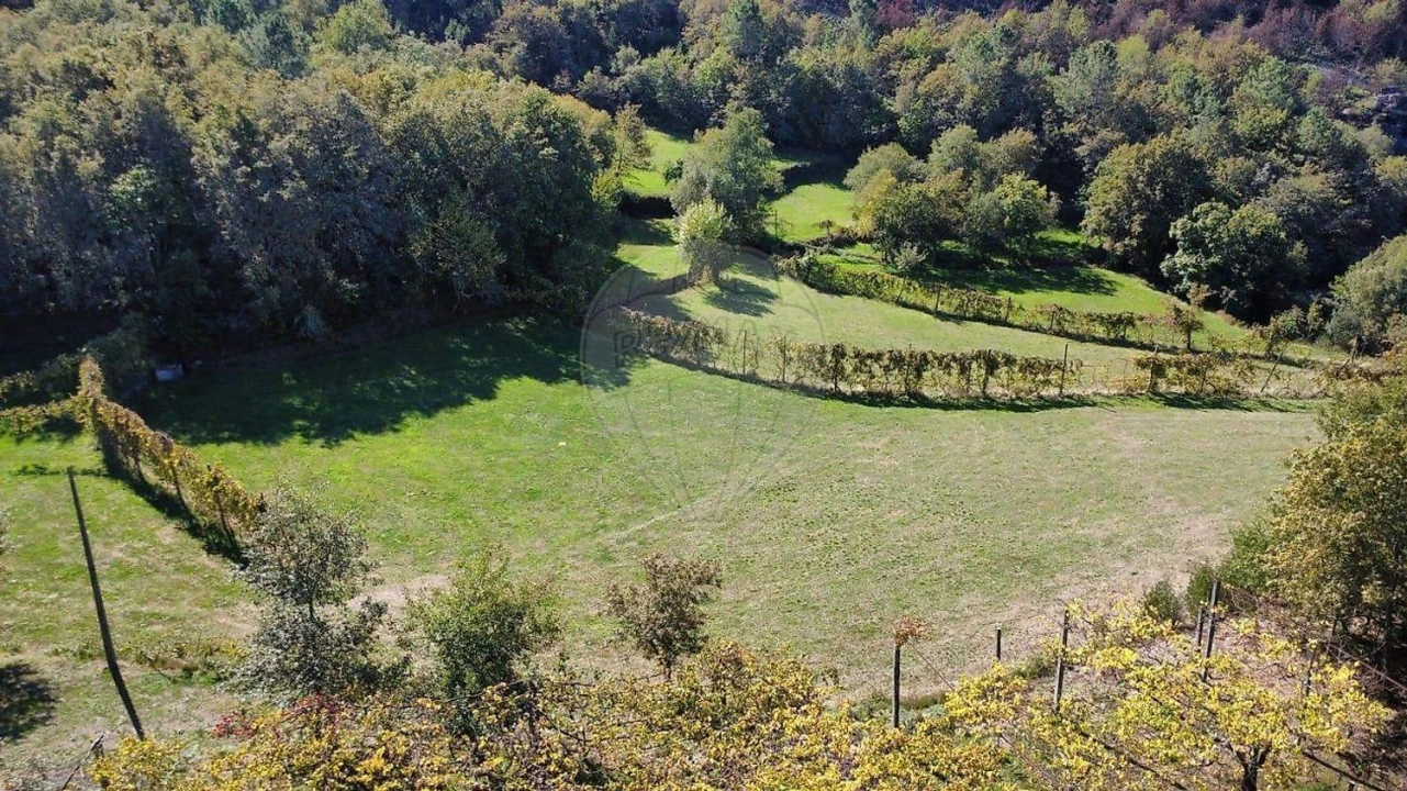 Moradia para Venda em Fafe Foto 26