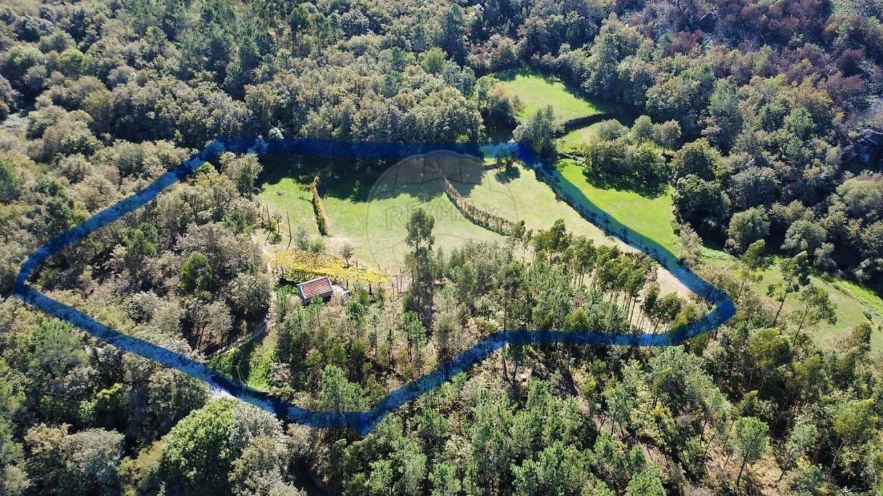 Moradia para Venda em Fafe Foto 27