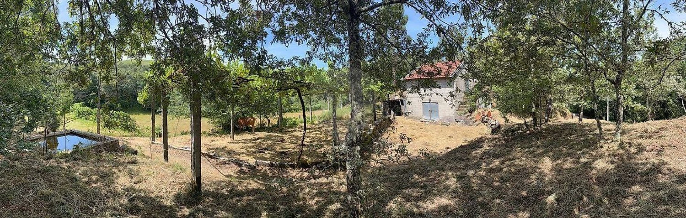 Moradia para Venda em Fafe Foto 3