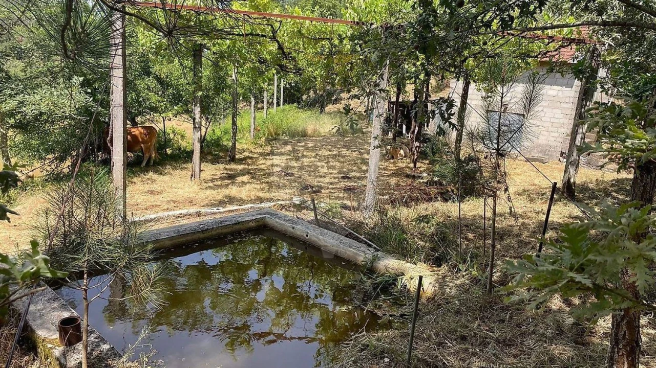 Moradia para Venda em Fafe Foto 4