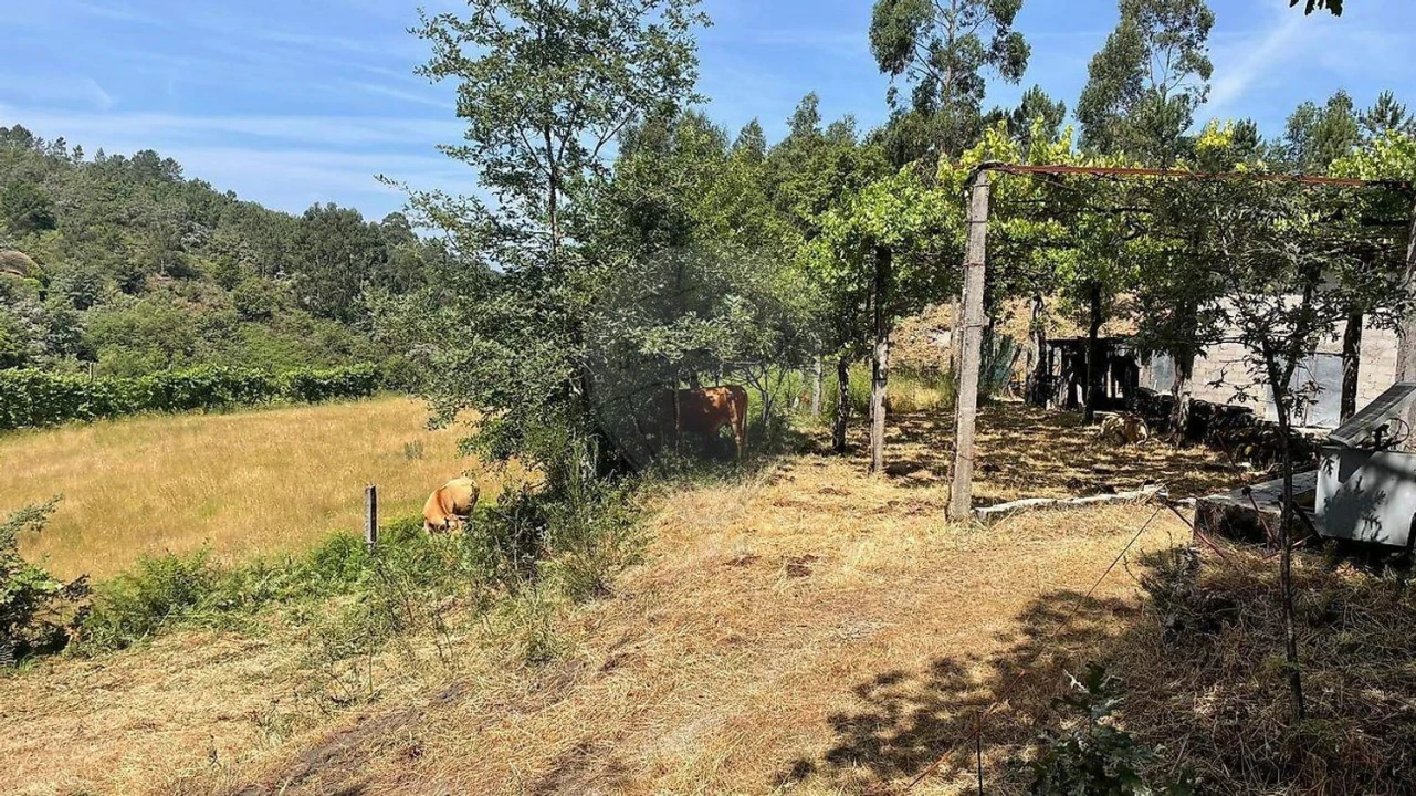 Moradia para Venda em Fafe Foto 7