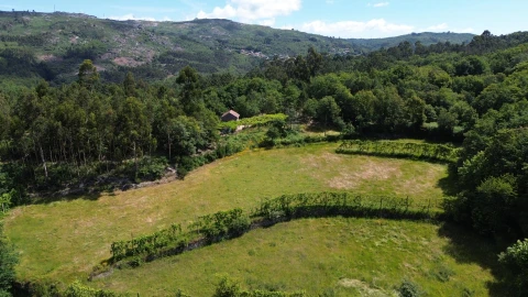 Moradia para Venda em Monte e Queimadela