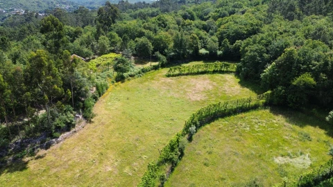 Moradia para Venda em Monte e Queimadela