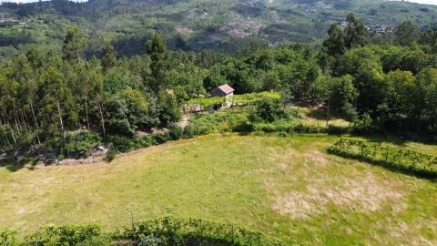 Moradia para Venda em Monte e Queimadela