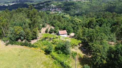 Moradia para Venda em Monte e Queimadela