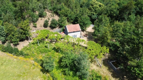 Moradia para Venda em Monte e Queimadela