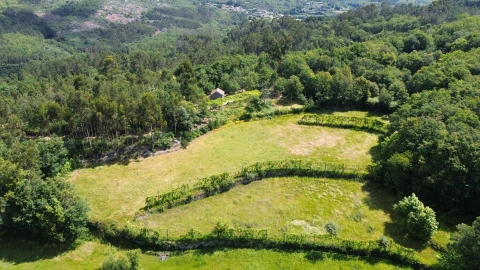 Moradia para Venda em Monte e Queimadela