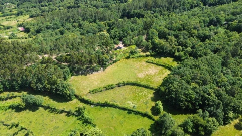 Moradia para Venda em Monte e Queimadela