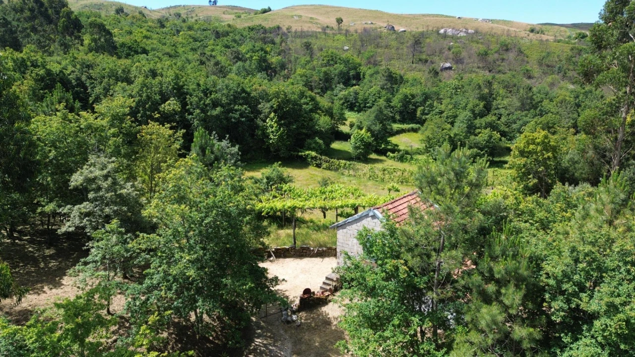 Moradia para Venda em Monte e Queimadela Foto 18