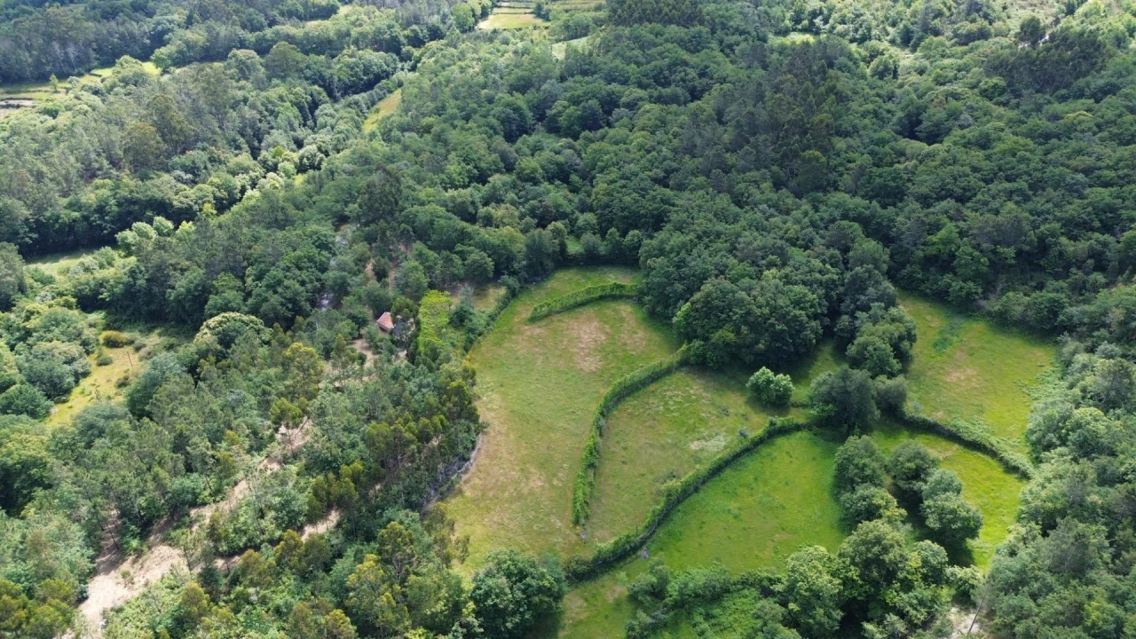 Moradia para Venda em Monte e Queimadela Foto 28