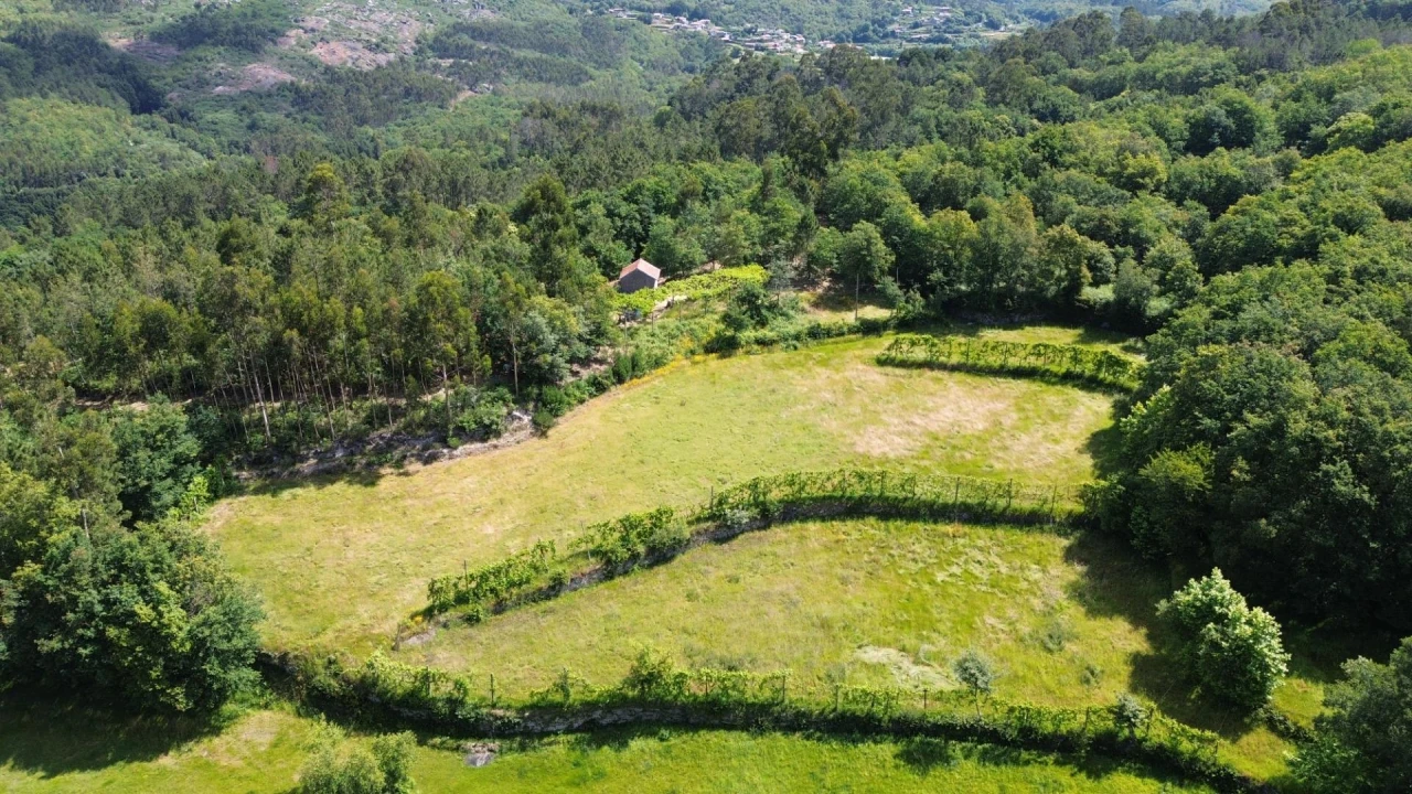 Moradia para Venda em Monte e Queimadela Foto 5