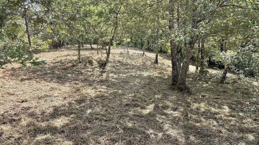 Moradia para Venda em Fafe Foto 10