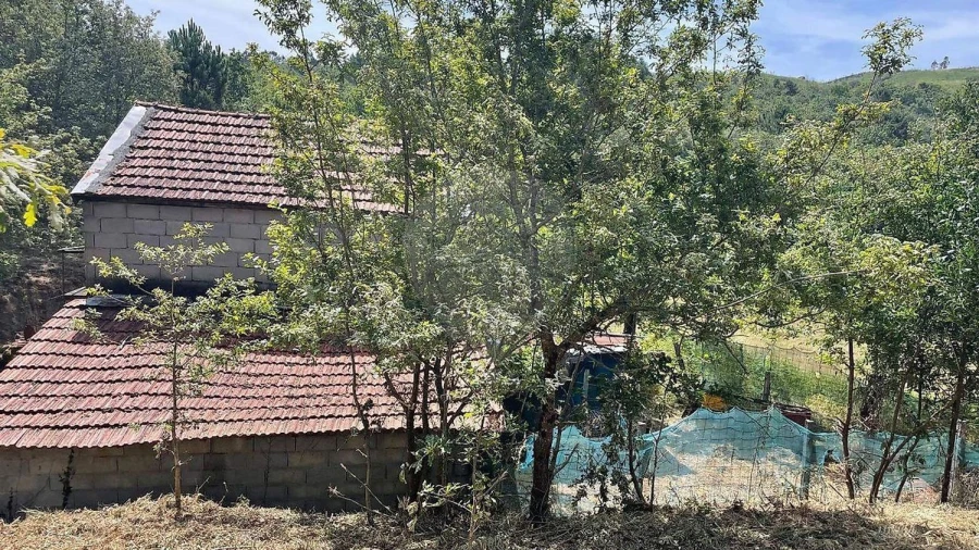 Moradia para Venda em Fafe Foto 15