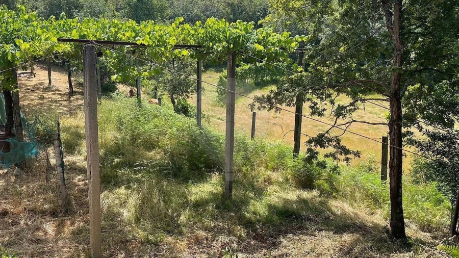 Moradia para Venda em Fafe Foto 17