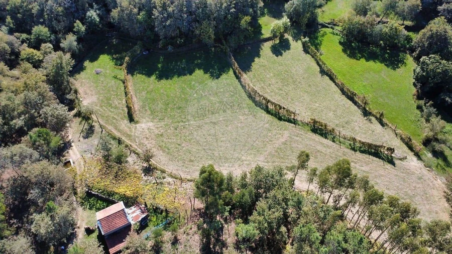 Moradia para Venda em Fafe Foto 2