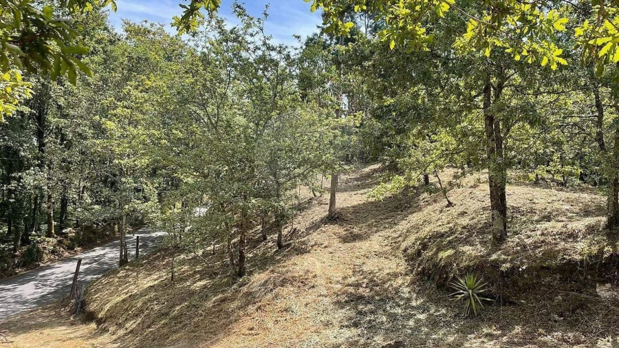 Moradia para Venda em Fafe Foto 20