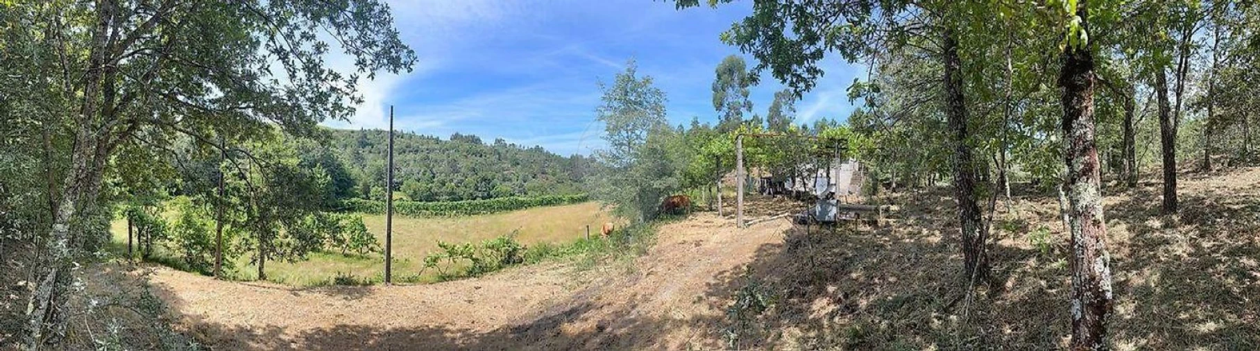 Moradia para Venda em Fafe Foto 9