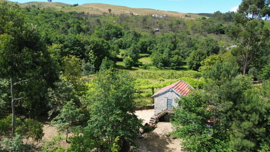 Moradia para Venda em Monte e Queimadela Foto 19