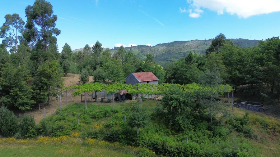 Moradia para Venda em Monte e Queimadela Foto 21