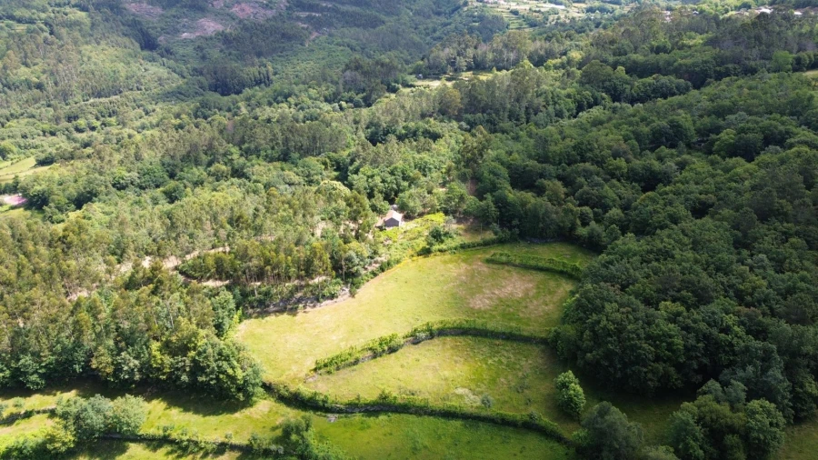 Moradia para Venda em Monte e Queimadela Foto 24