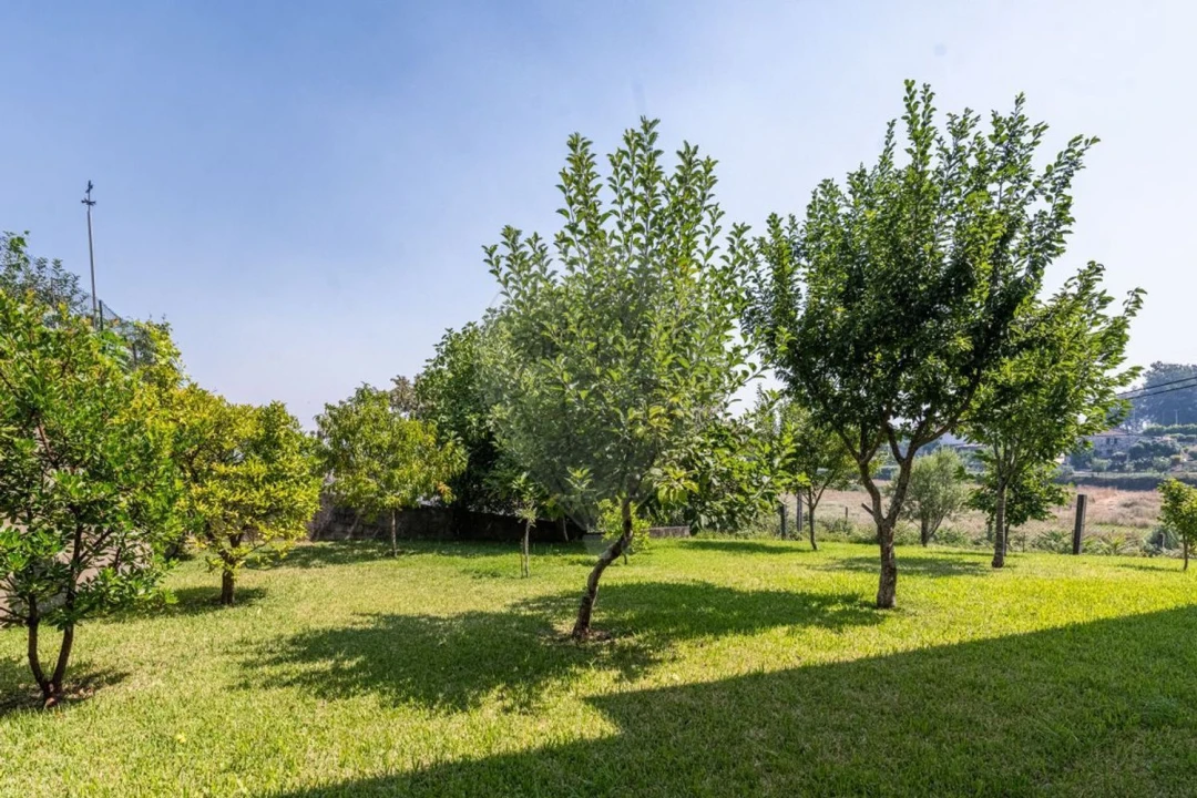 Moradia T4 para Venda em Águeda e Borralha Foto 41