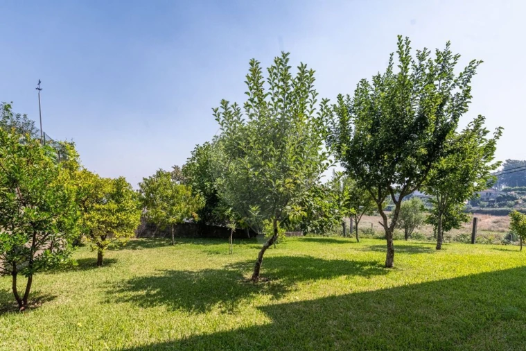 Moradia T4 para Venda em Águeda e Borralha Foto 41