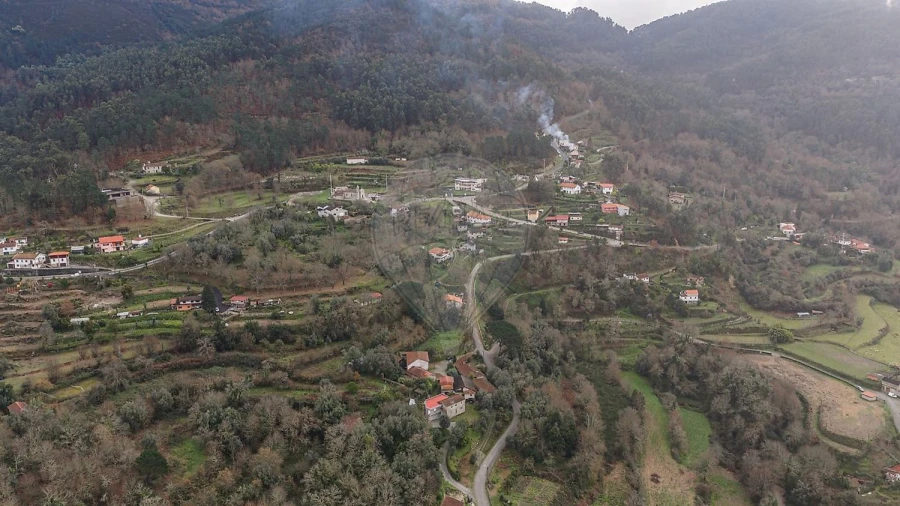 Moradia T4 para Venda em Moimenta Foto 10