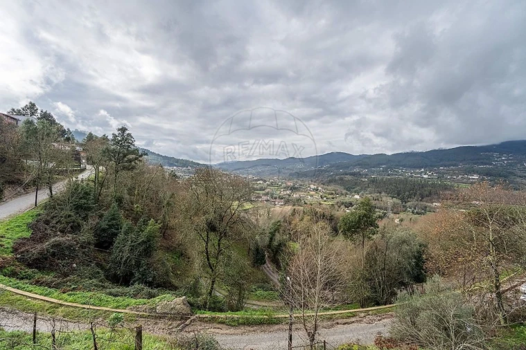 Moradia T4 para Venda em Moimenta Foto 41