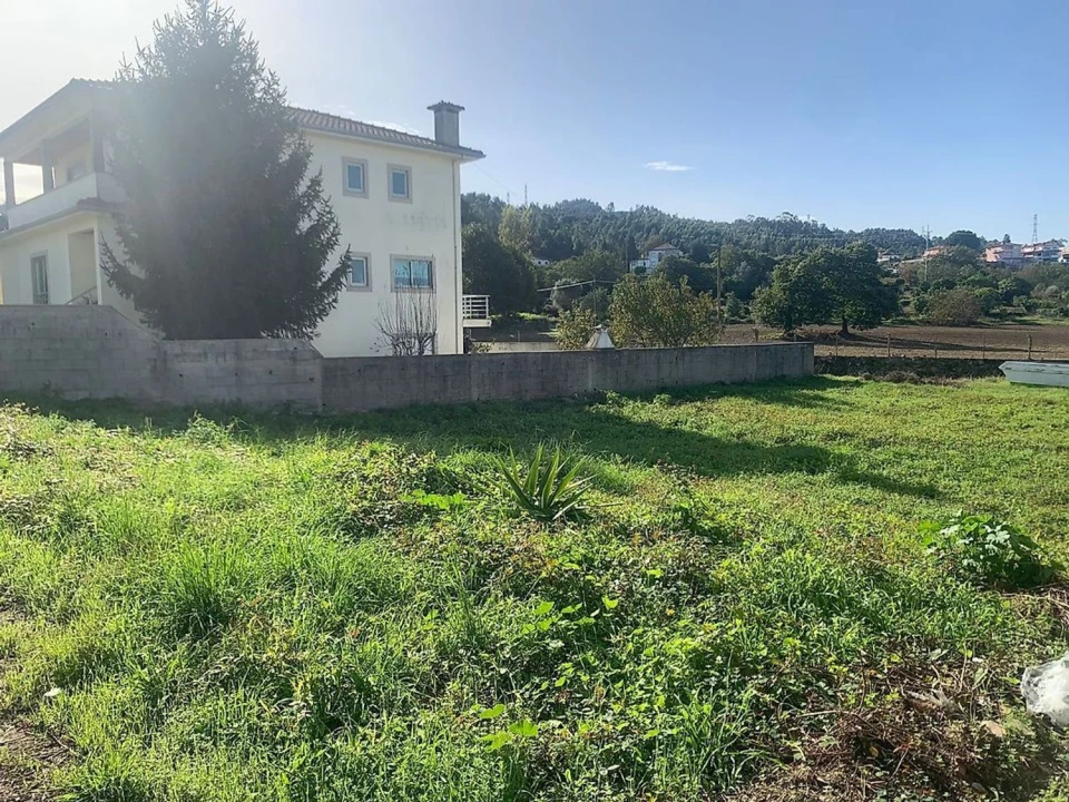Terreno Agricola ou Rústico para Venda em Águeda e Borralha Foto 14