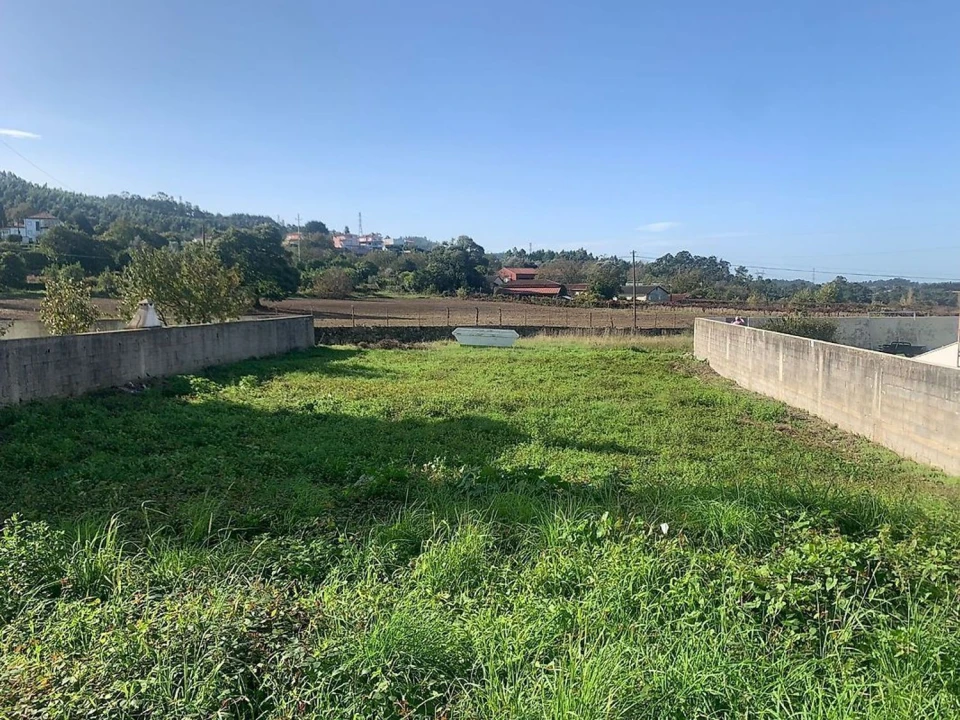 Terreno Agricola ou Rústico para Venda em Águeda e Borralha Foto 17