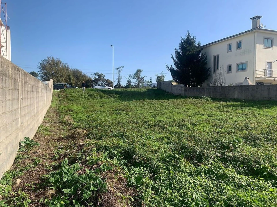 Terreno Agricola ou Rústico para Venda em Águeda e Borralha Foto 8