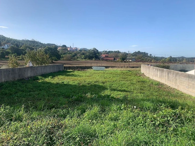 Terreno Agricola ou Rústico para Venda em Águeda e Borralha Foto 13