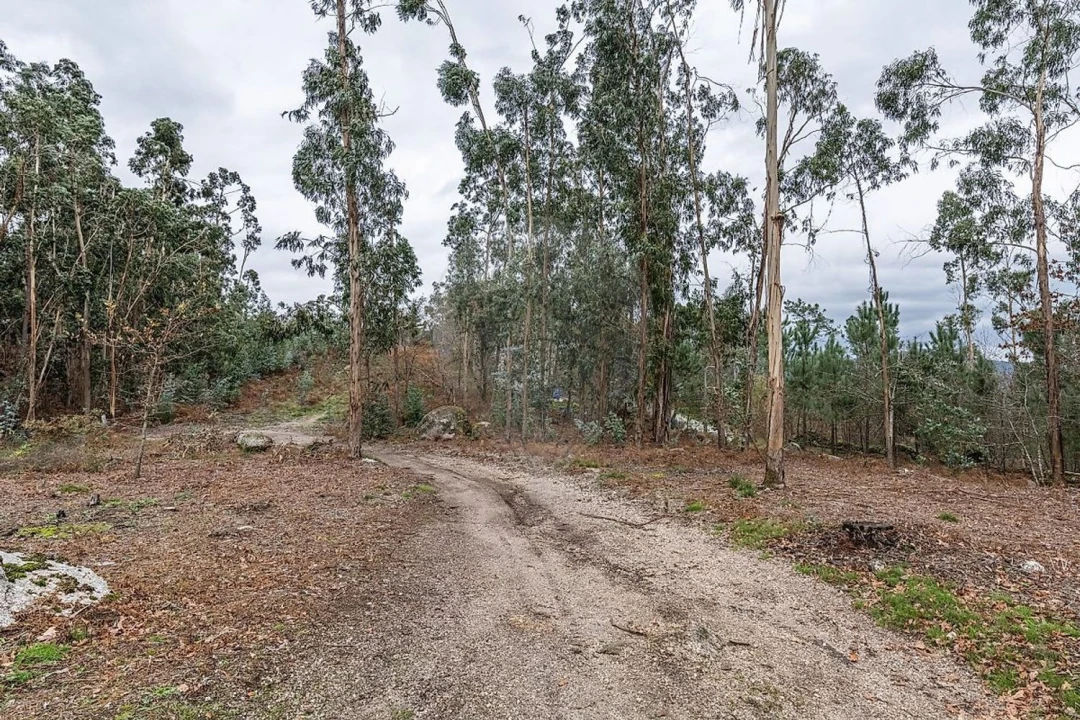 Moradia T3 para Venda em Águeda e Borralha Foto 29