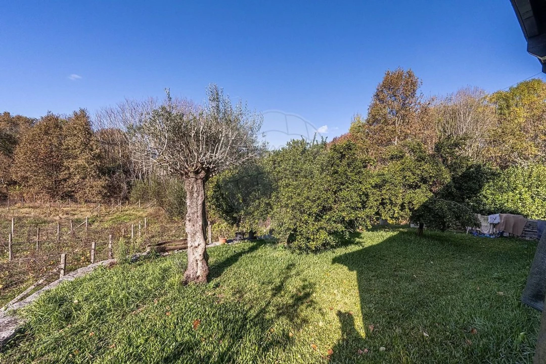 Moradia T3 para Venda em Galegos Foto 19