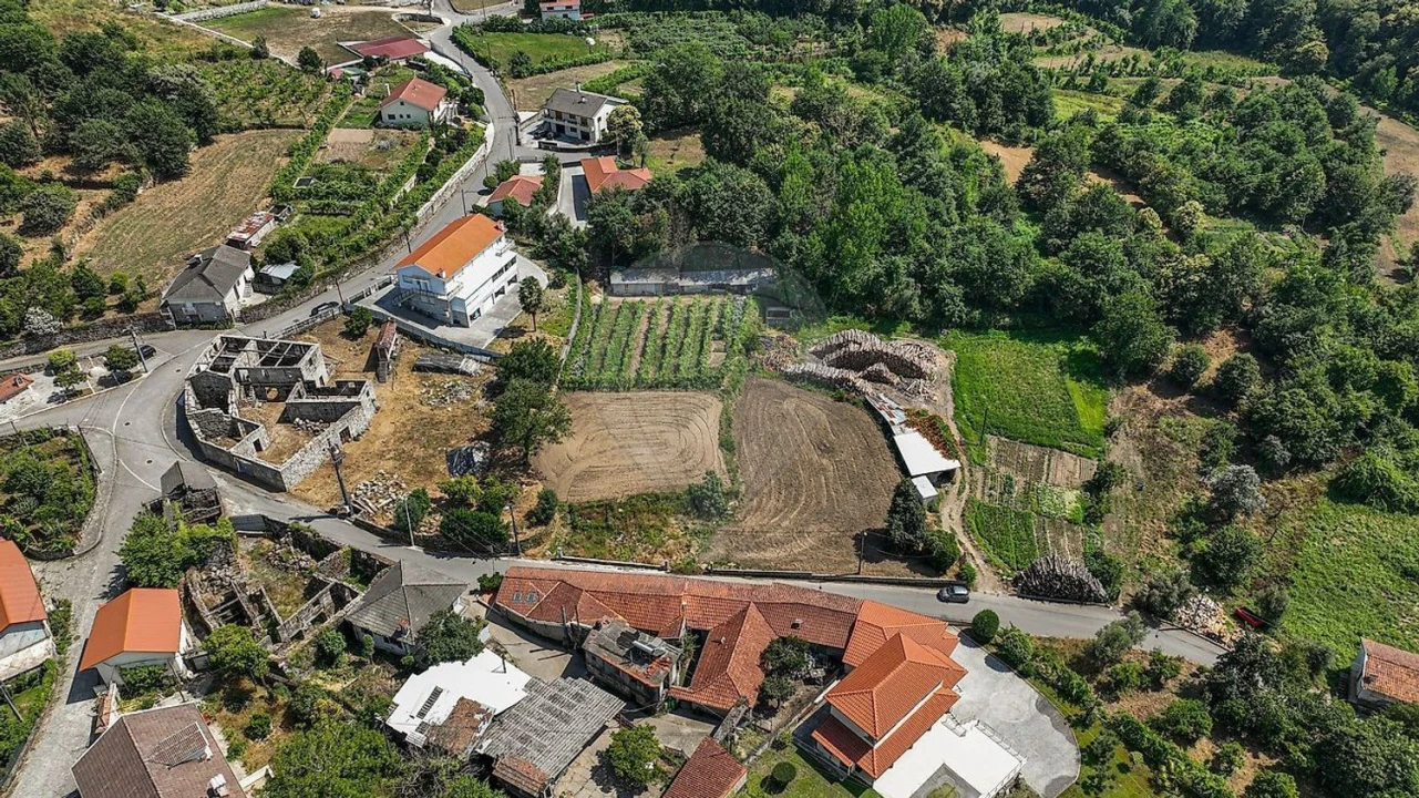 Terreno Agricola ou Rústico para Venda em Águeda e Borralha Foto 20