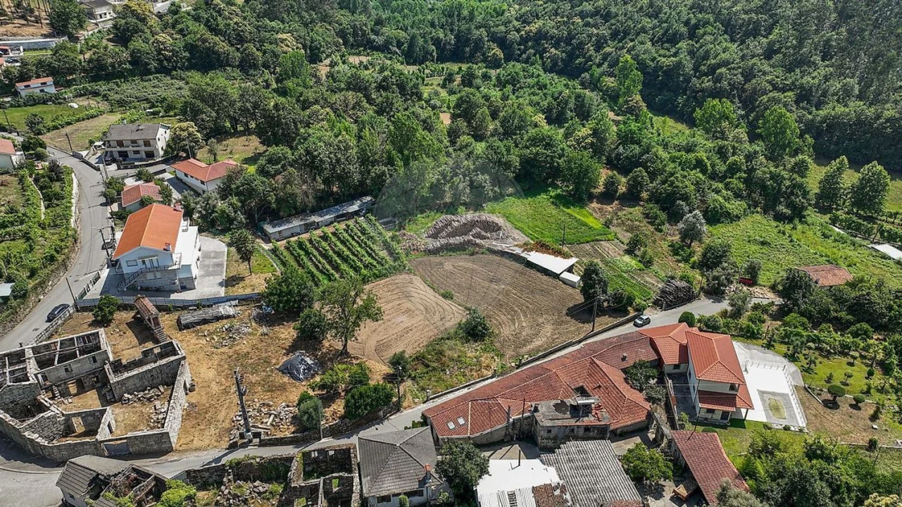 Terreno Agricola ou Rústico para Venda em Águeda e Borralha Foto 22