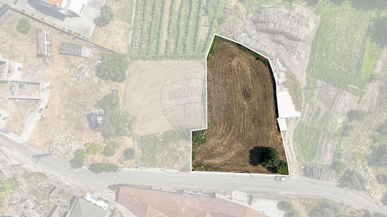 Terreno Agricola ou Rústico para Venda em Águeda e Borralha Foto 5
