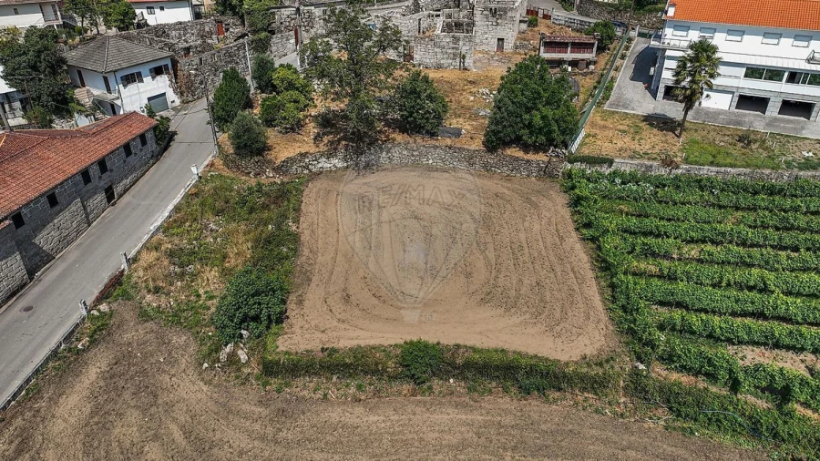 Terreno Agricola ou Rústico para Venda em Águeda e Borralha Foto 11