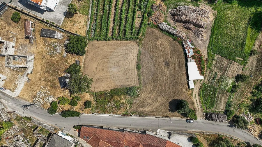 Terreno Agricola ou Rústico para Venda em Águeda e Borralha Foto 12