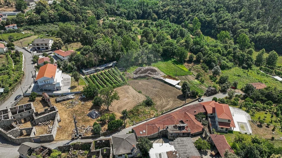 Terreno Agricola ou Rústico para Venda em Águeda e Borralha Foto 15