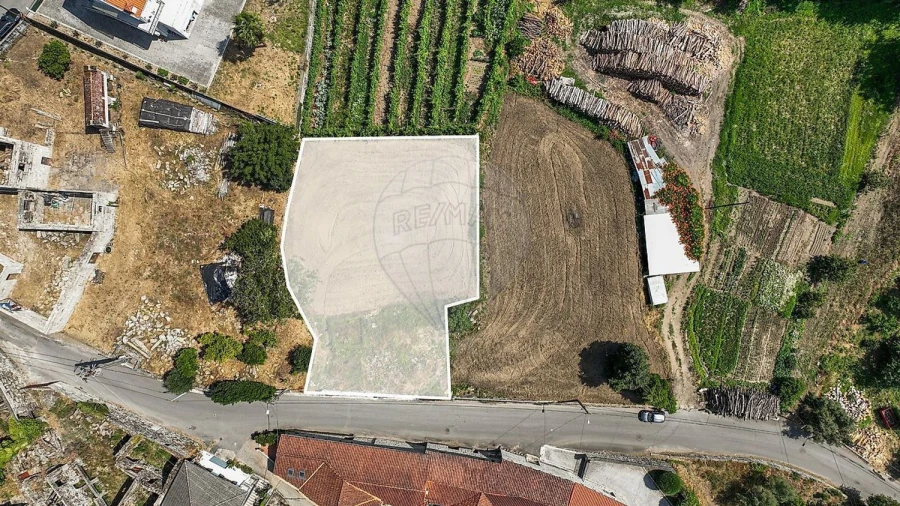 Terreno Agricola ou Rústico para Venda em Águeda e Borralha Foto 2