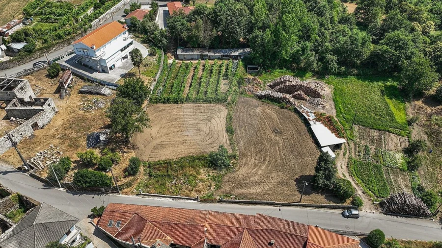 Terreno Agricola ou Rústico para Venda em Águeda e Borralha Foto 23