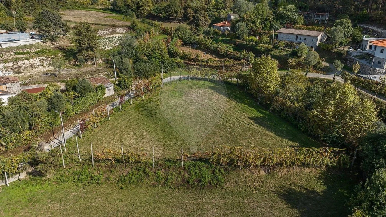 Terreno Agricola ou Rústico para Venda em Galegos Foto 7