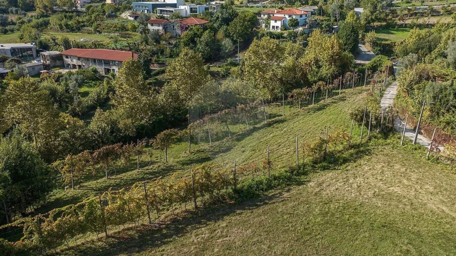 Terreno Agricola ou Rústico para Venda em Galegos Foto 11