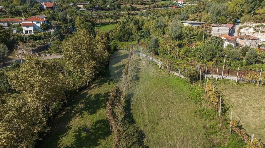Terreno Agricola ou Rústico para Venda em Galegos Foto 25