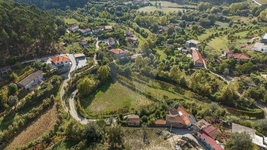 Terreno Agricola ou Rústico para Venda em Galegos Foto 9