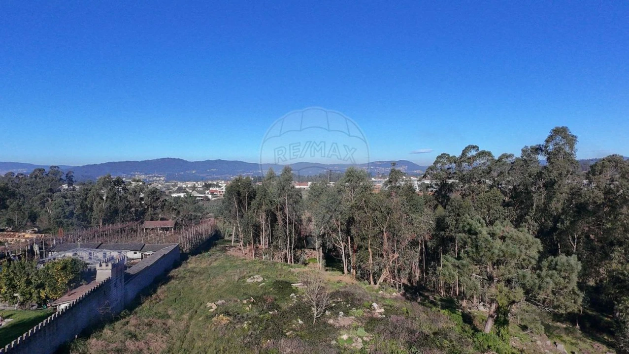 Terreno Agricola ou Rústico para Venda em Alheira e Igreja Nova Foto 16
