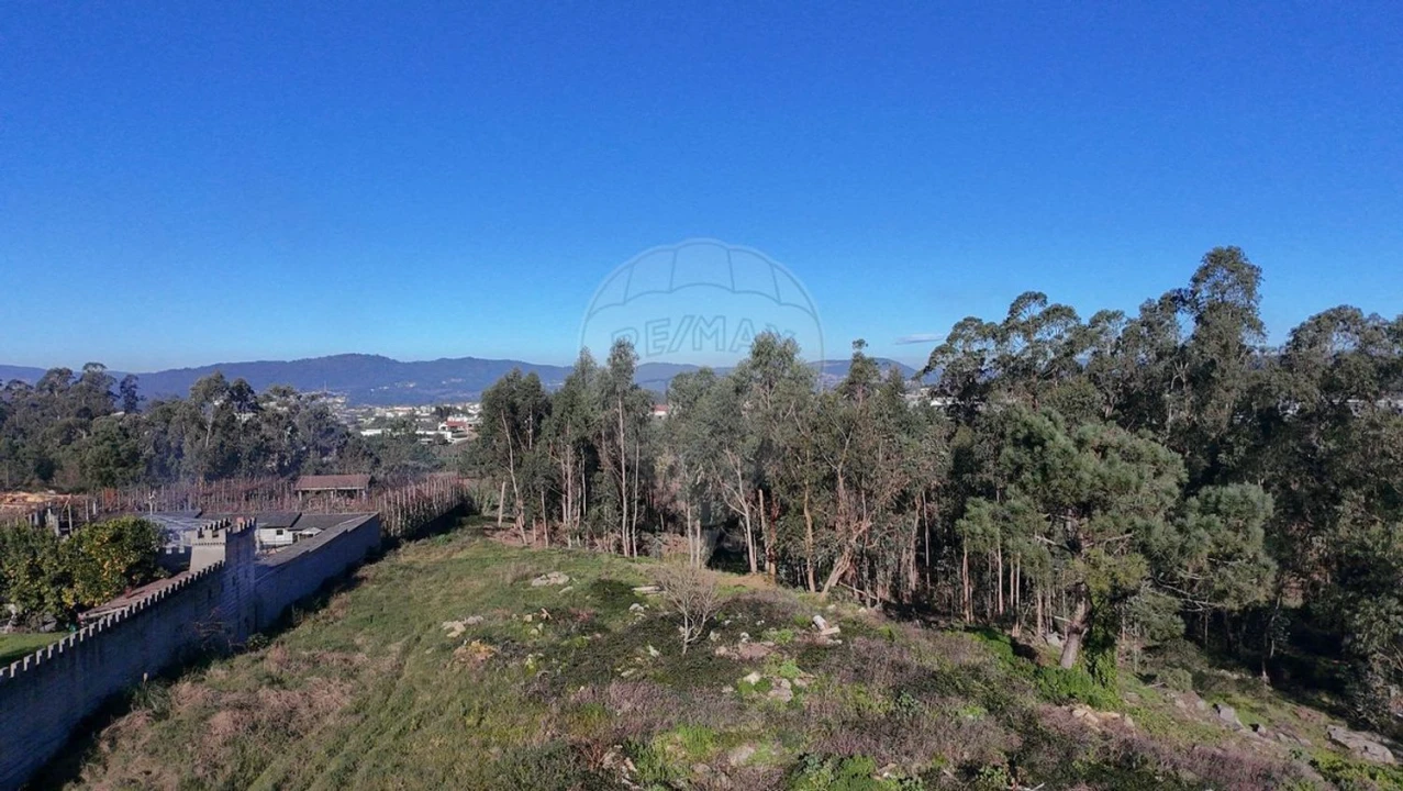 Terreno Agricola ou Rústico para Venda em Alheira e Igreja Nova Foto 6