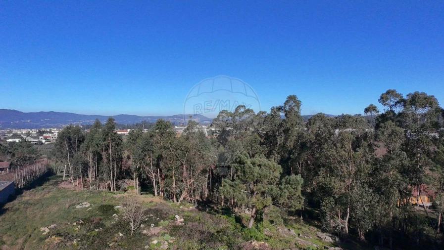 Terreno Agricola ou Rústico para Venda em Alheira e Igreja Nova Foto 22